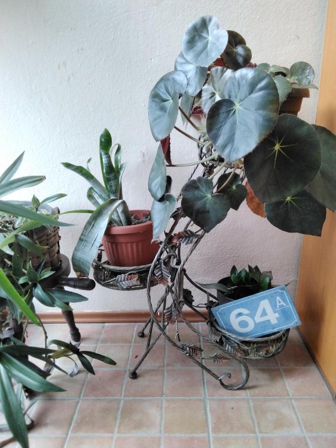 Fina Apartman Leskovac  Dış mekan fotoğraf