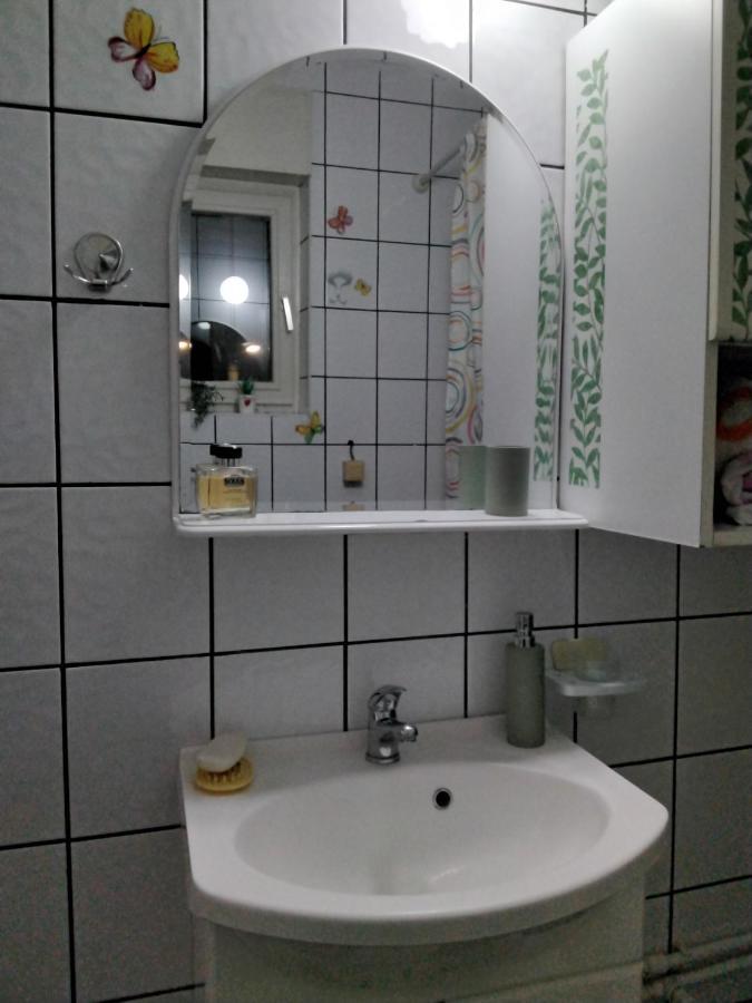 Fina Apartman Leskovac  Dış mekan fotoğraf